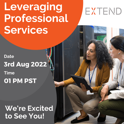 leveraging professional services with extend 